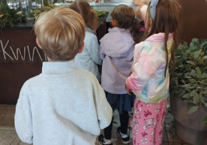 Dzieci decydują o wyborze roślin stojąc w kwiaciarni wśród kwiatów