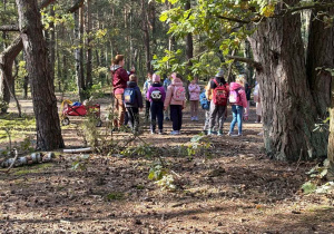 Dzieci poszukują darów lasu